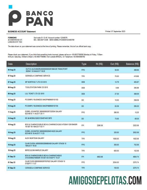 Em branco Banco Pan Bank Firm modelo de extrato de conta Word e PDF